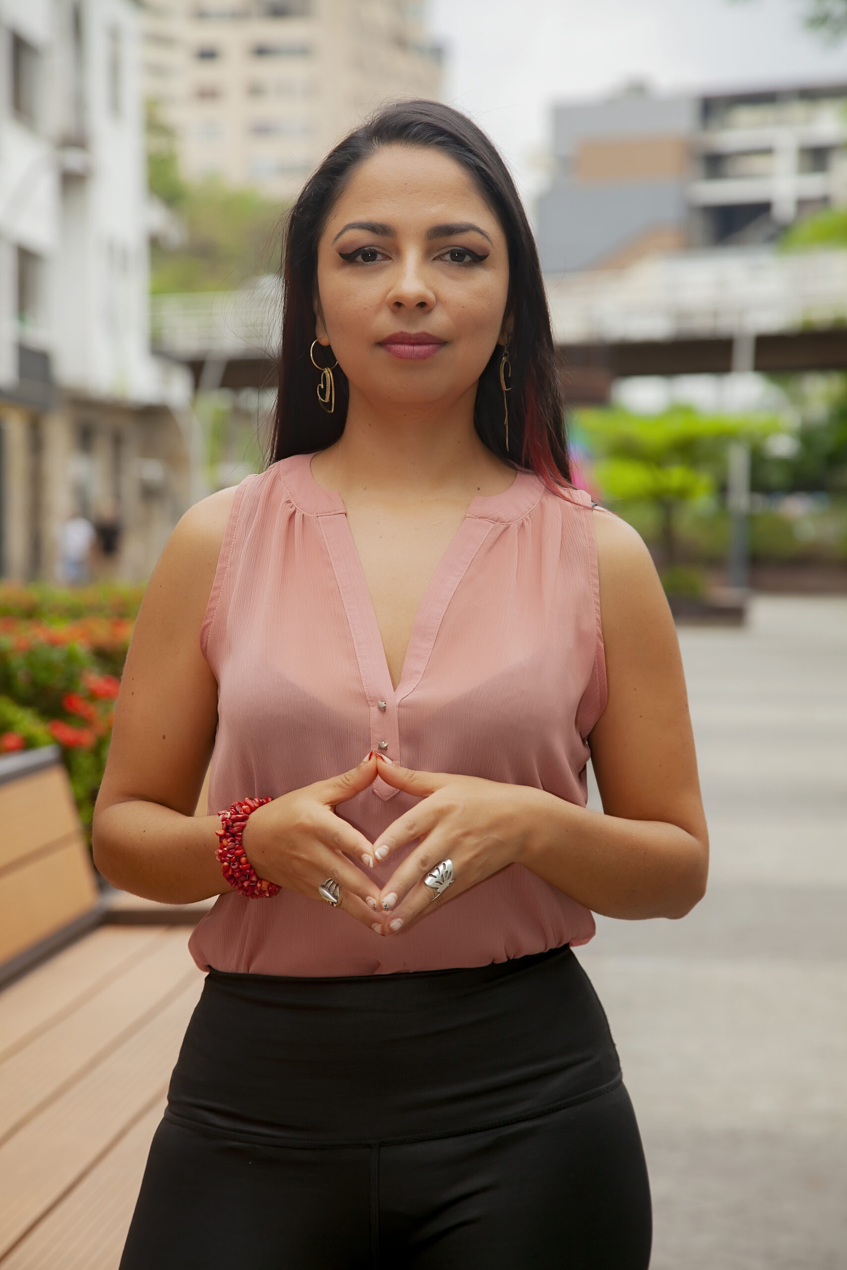 fernanda soleir